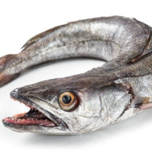 Hake