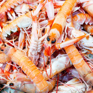 Large Prawns 500g