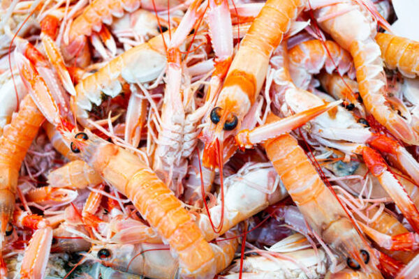 Large Prawns 500g