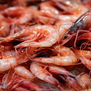 Shrimps 500g